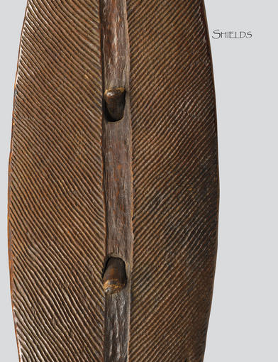 The Art of Eastern Australia by David Petty