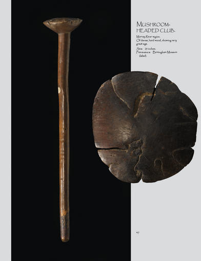 The Art of Eastern Australia by David Petty